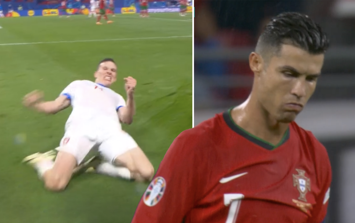 Czech Republic's Celebration After Winning Against Portugal